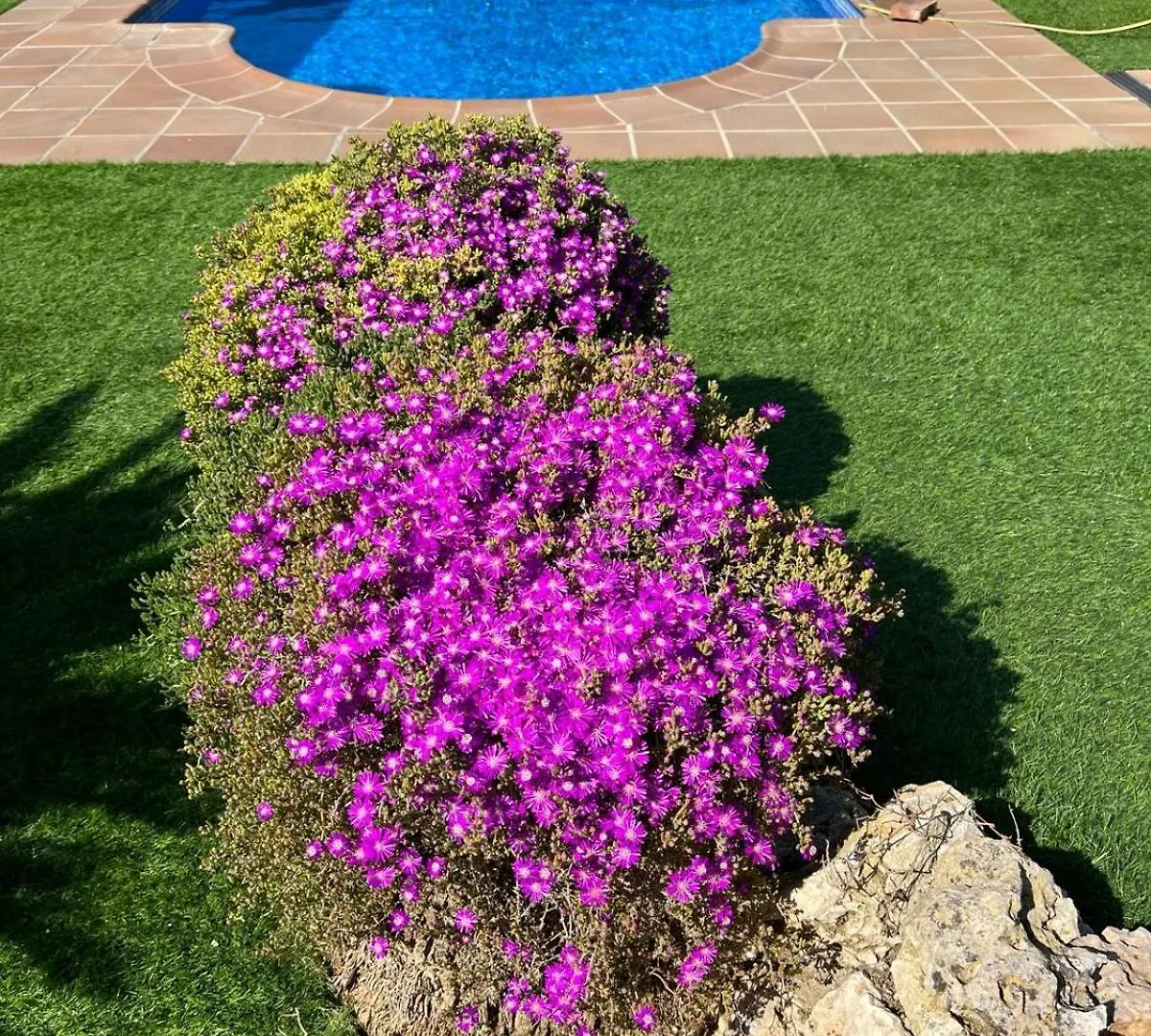 Casa de Férias Casa San Roca Vila Massanet De La Selva